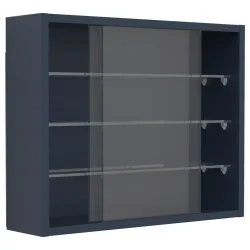 Hängevitrine Drivalo S Anthrazit 