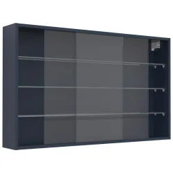 Hängevitrine Drivalo Xl Anthrazit 