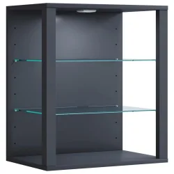 Hängevitrine Glasol Sw Anthrazit 