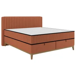 Boxbett  Orange 