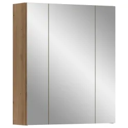 Spiegelschrank Ice 60/70/18 cm 