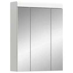 Spiegelschrank Scout 60/79/18 cm 