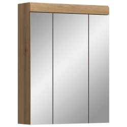 Spiegelschrank Scout 60/79/18 cm 
