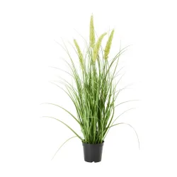 Kunstpflanze Penisetum Inkl. Topf 71 cm 