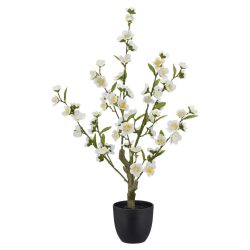 Kirschblütenzweig Kirschblüte Weiss Ca. 64cm 64 cm 