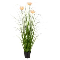 Grasbündel Blossom I Grün/aprikose Ca. 100cm Grasbündel 100 cm 