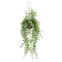 Kunstpflanze Dischidiaranke In Grün 60 cm 