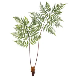 Kunstpflanze Dyropteris Ii In Grün Ca. 150cm 150 cm 