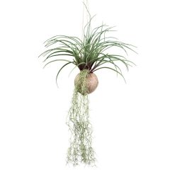 Kunstpflanze Tilandsia Stricta Ii In Grün Tillandsie 72 cm 