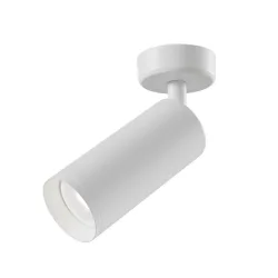 Strahler Focus  6/13/19,5 cm 