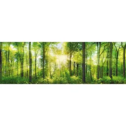 Keilrahmenbild Marcus Waldgrün Ca. 150x50cm 150 cm/50 cm/3 cm cm 