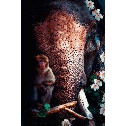 Bild Posterjunkie-20-98x148-Dbw-Mko 