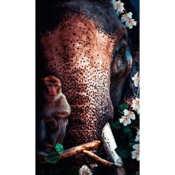 Bild Posterjunkie-20-70x118-Dbw-Mko 