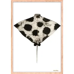 Bild Stl-De-Rouw-006-50x70-Frx-Frbl 