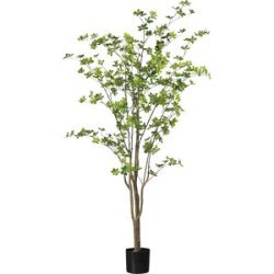 Gasper Kunstpflanze Louisiana-Baum im Kunststofftopf, Grün H: 180 cm  | Schubiger Möbel