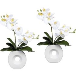 kaiserkraft Phalaenopsis, real touch, in Keramikvase, VE 2 Stk, weiß