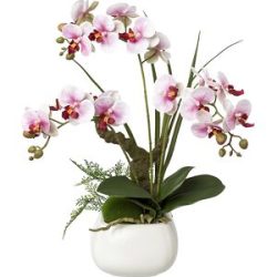 kaiserkraft Phalaenopsis, real touch, Höhe 460 mm, Blüten lila