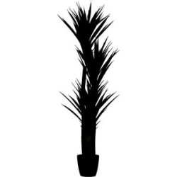 kaiserkraft Yucca, Behältnis-Ø 180 mm, Höhe 1500 mm