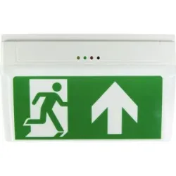 B-SAFETY BR530030 LED Fluchtweg-Notbeleuchtung Deckenaufbaumontage, Wandaufbaumontage Ausgang, Rettungsweg, rechts,
