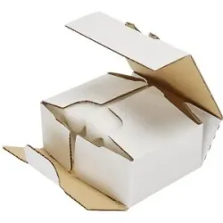 Schaumbox, mit Steckverschluss, Innenmaße 255 x 148 x 52 mm, weiß, ab 10 Stk ratioform flow