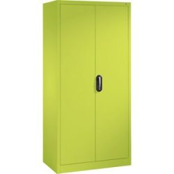 ACURADO Universalschrank, BxT 930 x 500 mm, viridingrün / viridingrün C+P