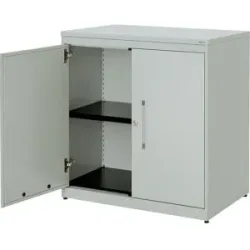 Flügeltürenschrank, HxB 830 x 800 mm, Kunststoffplatte, 1 Fachboden, lichtgrau / lichtgrau / lichtgrau mauser