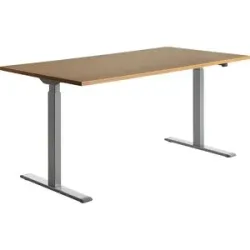 Schreibtisch, elektrisch höhenverstellbar, gerade, BxT 1600 x 800 mm, Buche/grau Topstar