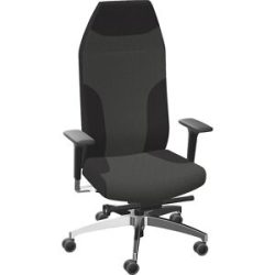 Bürostuhl AdJust Protect 24h, mit Armlehnen und Kopfstütze, grau Dauphin