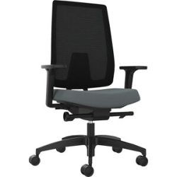 Bürostuhl INDEED, mit Gegendruckeinstellung, Netzrückenlehne grau Dauphin