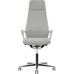 Bürostuhl Signo 0185 ZÜCO Premium F Leder, Polster-Rückenlehne, platingrau Züco