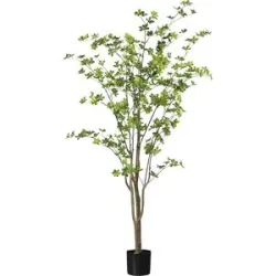 Gasper Kunstpflanze Louisiana-Baum im Kunststofftopf, Grün H: 180 cm  | Schubiger Möbel