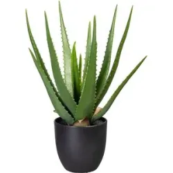 Gasper Kunstpflanze Aloe im Kunstofftopf, Grün H: 47 cm  | Schubiger Möbel