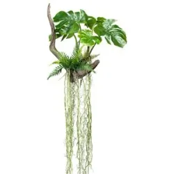 kaiserkraft Splitphilodendron auf Wurzel, 500 x 500 mm, Höhe 1600 mm, mit Farn und Luftwurzeln
