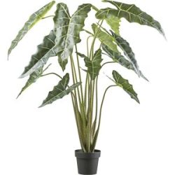 Gasper Kunstpflanzen Alocasia Zebrina Sarian im Kunststofftopf H: 160 c  | Schubiger Möbel