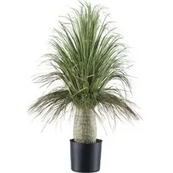 kaiserkraft Künstliche Pflanze Beaucarnea, Kunststofftopf, Höhe 600 mm