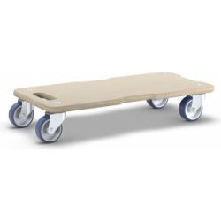 Wagner Transporthilfe | 59 × 29 cm | max. 250 kg