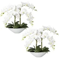 kaiserkraft Phalaenopsis, real touch, Höhe 530 mm, VE 2 Stk, Keramikschale, weiß