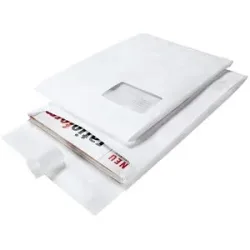 kaiserkraft Faltentasche Tyvek®, reißfest, wasserfest, VE 100 Stk, LxBxH 250 x 353 x 38 mm, ab 5 VE