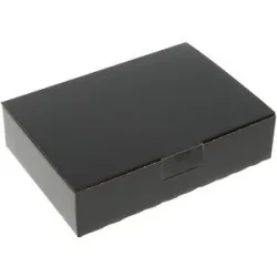 Blitzbox, schwarz, VE 20 Stk, Innenmaße 220 x 155 x 50 mm, ab 5 VE ratioform flow