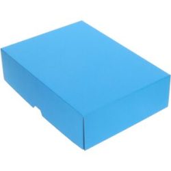 Stülpdeckelkarton, hellblau, Innenmaße 301 x 213 x 80 mm, ab 120 Stk ratioform
