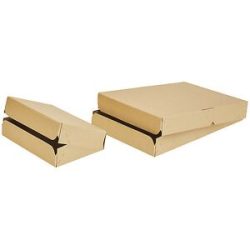 Kommissionierkarton klein, 1-wellig, Innenmaße 350 x 246 x 48 mm, ab 150 Stk ratioform