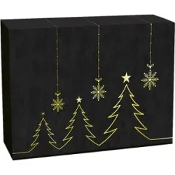 Flaschen-Geschenkkarton Tannengold, VE 25 Stk, Innenmaße 360 x 260 x 93 mm, ab 5 VE ratioform