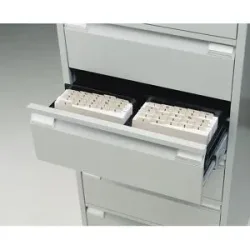 Karteistütze, VE 10 Stk, für Karteischrank A6, 2-bahnig, schwarz BISLEY