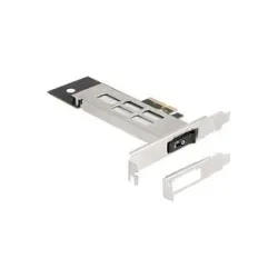 DeLock Wechselrahmen PCI Express Karte für 1 x M.2 NMVe SSD, Schnittstellenkarte