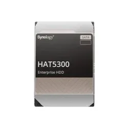 Synology HAT5300-12T, Festplatte