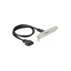 Delock USB 3.2 Gen 1 Slotblende, 19 Pin Buchse > USB-C Buchse