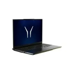 Medion ERAZER Beast 16 X15 Ultimate (MD600070), Gaming-Notebook