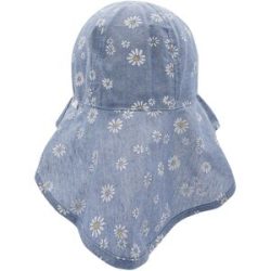 Sonnenhut Gänseblümchen