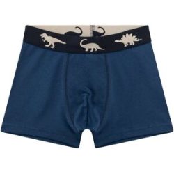 Sanetta 2er-Pack Boxershorts gruen   blau