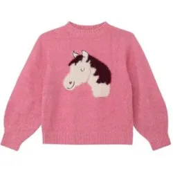 Pullover Pferd